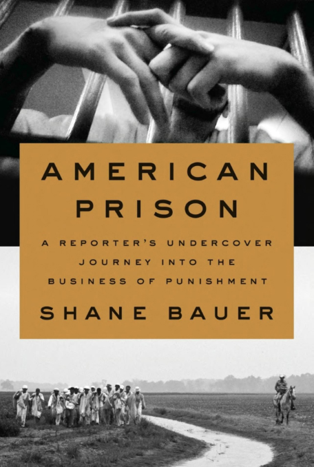 American Prison - A Reporter's Undercover Journey into the Business of Punishment